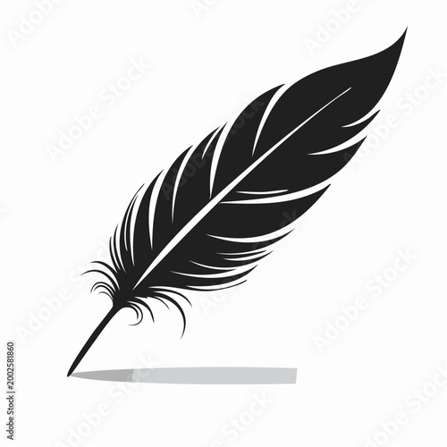 Black Feather Silhouette