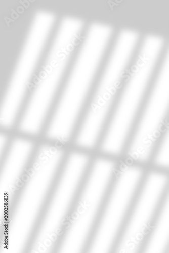Minimal Window Shadow Light Overlay