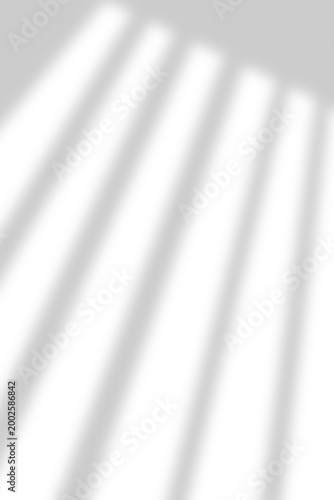 Minimal Window Shadow Light Overlay