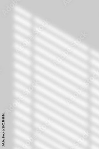 Minimal Window Shadow Light Overlay