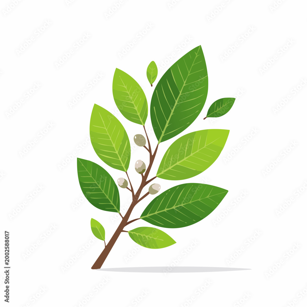 Obraz premium Green Branch with Leaves and Buds