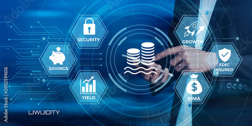 Quadro su tela Digital illustration showing financial services with savings growth and security
