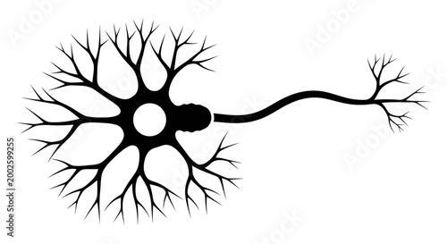 Black and white silhouette of a biological nerve cell neuron.