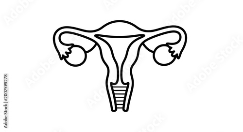 Minimalist outline icon of the human female reproductive system.