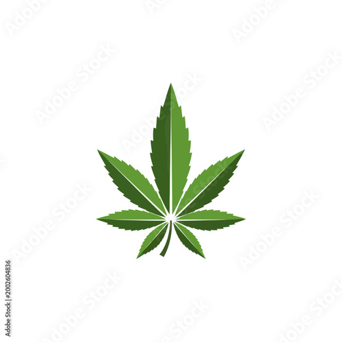 Cannabis marijuana leaf green plant.