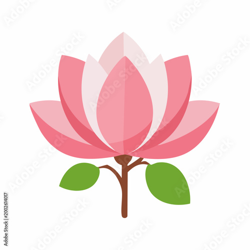 Pink Lotus Flower Illustration