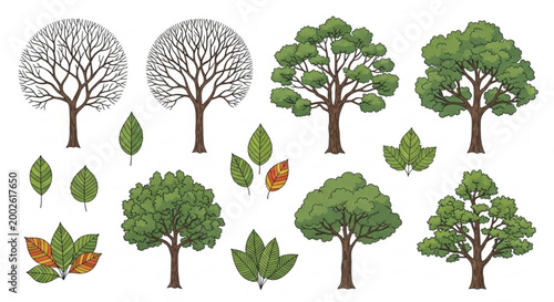 Collection of stylized trees and leaves representing seasons and nature perfect for graphic design and environmental concepts