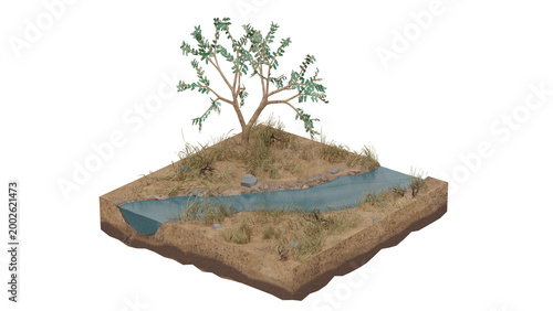 3d rendering south african habitat