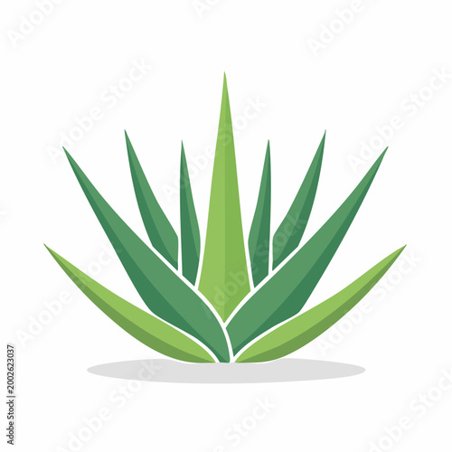 Stylized Agave Plant Icon