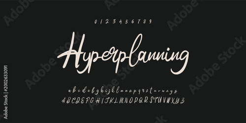signature Font Calligraphy Logotype Script Brush Font Type Font lettering handwritten