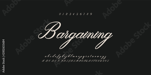 Valokuva signature Font Calligraphy Logotype Script Brush Font Type Font lettering handwr