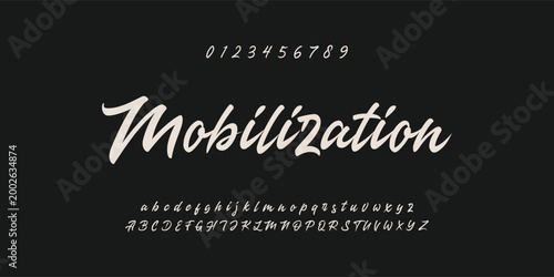signature Font Calligraphy Logotype Script Brush Font Type Font lettering handwritten