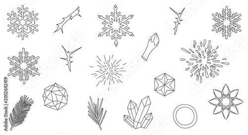 Set of geometric snowflakes, crystal clusters, and winter botanical twigs rendered in a clean minimalist line art style.