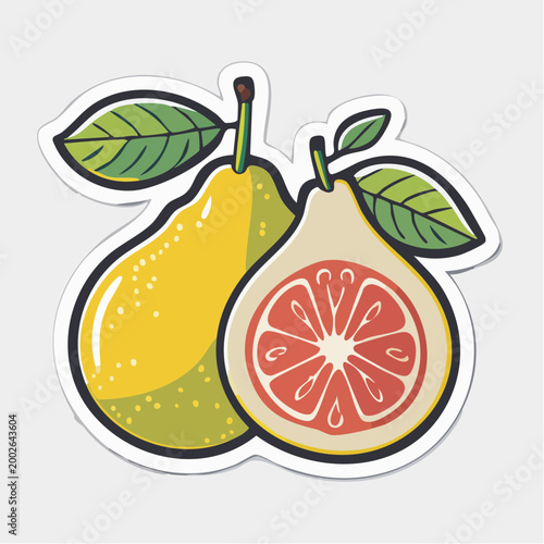 Stylized illustration of two grapefruits, one whole and one halved