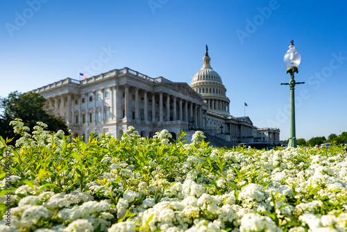 Cuadro en lienzo Capitol building in Washington DC