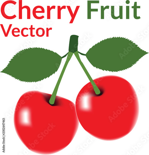 Vector illustration of two ripe red cherries with green leaves and stems isolated on a white background for a fresh healthy organic dessert