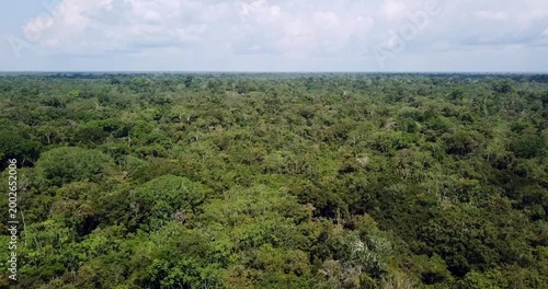 Aerial flight over Amazon rainforest with smooth tilt down revealing dense tropical jungle landscape