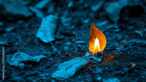 A glowing orange leaf illuminates the dark, blue-toned forest floor. This symbolic image represents hope and warmth amidst the cold.