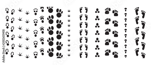This image displays a variety of black animal paw prints and human footprints on a white surface