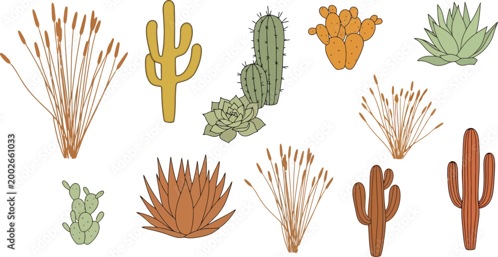 Fototapeta premium Collection of desert plants and cacti, including various species of succulents and drought-resistant flora, perfect for botanical illustrations and nature-themed designs