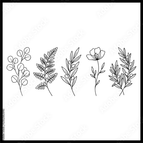 flower plant