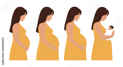 Illustration showing progression of pregnancy from early stages to holding newborn baby