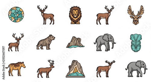 Photography Collection of Wild Animals and Nature Illustrations.