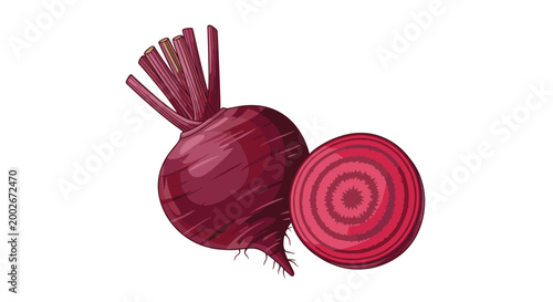 Whole fresh red beetroot with green stems and a cross-section slice showing inner rings in detailed botanical flat vector illustration.