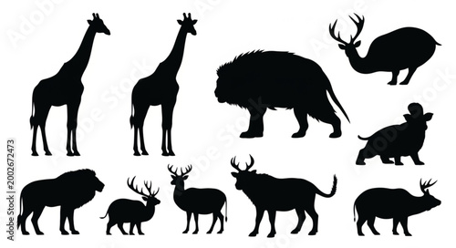 Collection of Wild Animal Silhouettes on White Background.