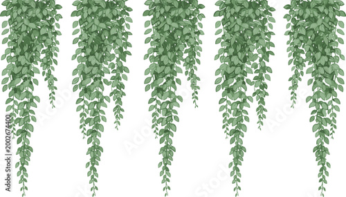   
Vector illustration of five hanging vines with dense cascading green leaves in decorative arrangement