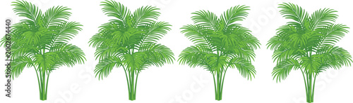 Cuadro en lienzo Vector illustration of four tropical plants with lush green fronds in symmetrica