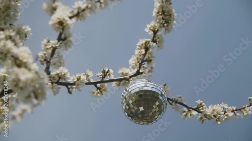 Bright spring flowers bloom against a clear blue sky, while a sparkling disco ball hangs from tree branches. Party and seasonal celebration concept
