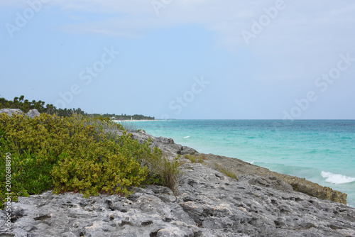 Canvastavla Mar azul turquesa y orilla rocosa en el caribe mexicano