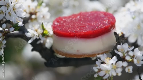 A beautifully crafted dessert sits atop a flowering branch, showcasing vibrant colors and exquisite details against a serene spring background.