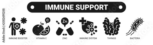 Immune Support web banner icon vector illustration concept with icons of immune booster, vitamin C, zinc, immune system, thymus, and bacteria.