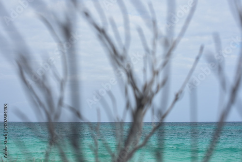 Photos Mar azul turquesa y orilla rocosa en el caribe mexicano