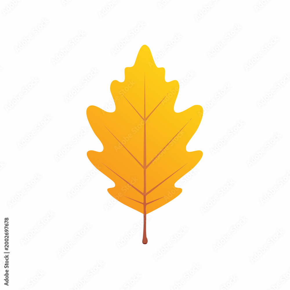 Fototapeta premium Autumn Oak Leaf