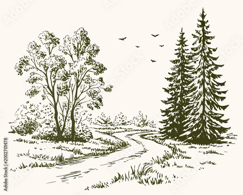 forest trail sketch hand drawn landscape with trees and path