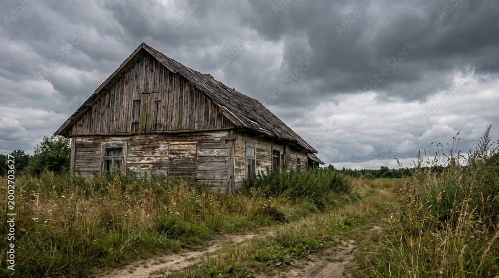 Fototapeta premium old wooden barn in overgrown field.