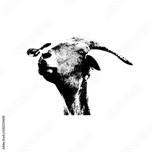 Obraz na plátně Goat Head Profile Vector: High-Contrast Livestock Portrait with Artistic Stipple