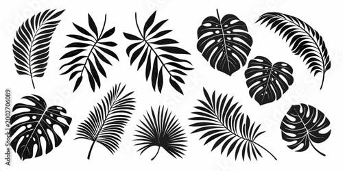 Tropical leaf silhouettes collection black vector illustration on white background