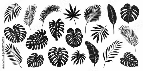 tropical leaf silhouettes collection black vector illustration on white background