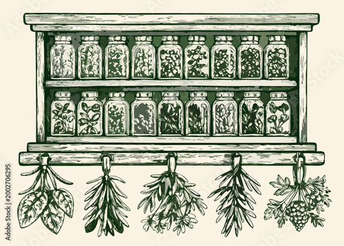 Woodcut style shelf with jars of herbs and hanging botanical specimens