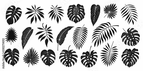 Tropical leaf silhouettes collection black vector illustration on white background