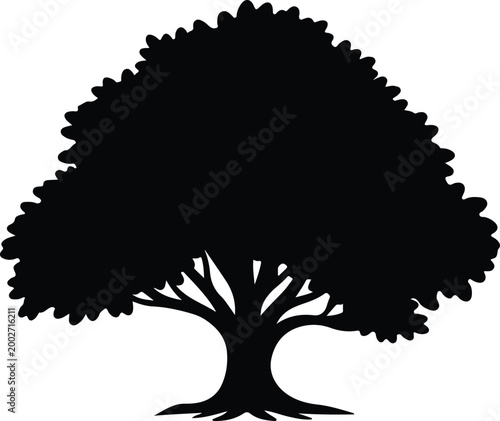 Silhouette of a lush deciduous tree with spreading branches vector design