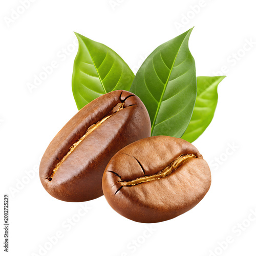 Roasted Coffee Beans with Green Leaves, Brown Coffee Beans, Fresh Coffee Aroma on transparent background