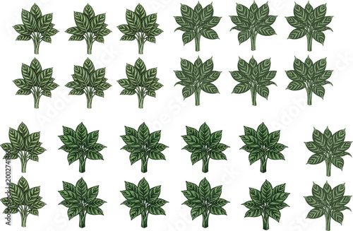 Green leaf bundle vector collection featuring various plant foliage designs for organic nature patterns and environment landscape architectural projects