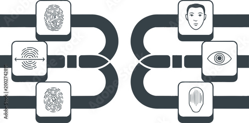 Diagram of Biometric identification icons network on white background
