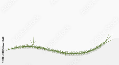 Grassy Hillside Border with Fresh Green Blades - Natural Landscape Element