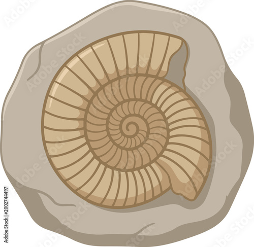 Illustration of an ammonite fossil embedded in rock, featuring a detailed spiral shell representing ancient marine life.